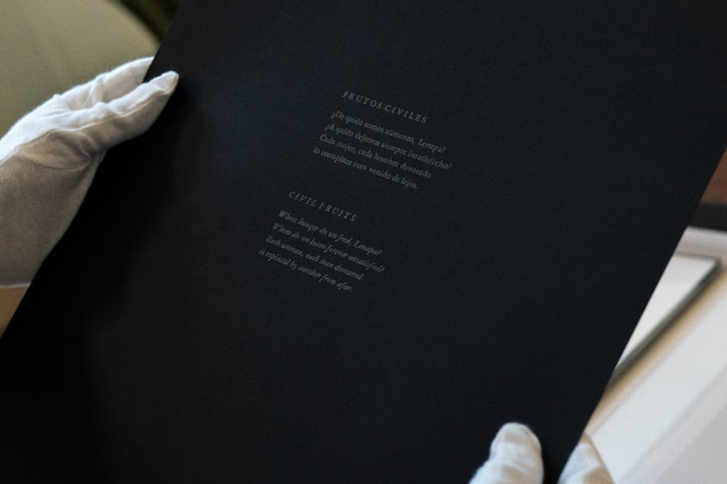 Artist book detail 6 from Lenâpa.